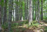  Moncove Lake Rd - Photo 10