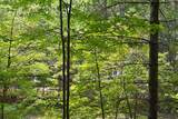  Moncove Lake Rd - Photo 9