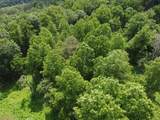 Lot 18 Grandview Dr - Photo 5