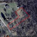 133 Lilly St - Photo 3