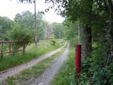 15240 Back Mountain Rd - Photo 4