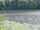 62 Scott Lake Rd - Photo 14
