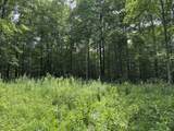  Molly Road - Photo 1