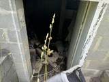 5298 Leivasy Rd - Photo 16