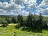 311 Red Spruce Dr - Photo 1