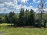 311 Red Spruce Dr - Photo 4