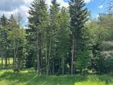 311 Red Spruce Dr - Photo 6