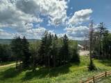 311 Red Spruce Dr - Photo 7