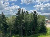 311 Red Spruce Dr - Photo 8