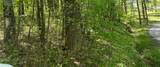  Backus Mountain Road - Photo 2