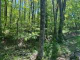  Backus Mountain Road - Photo 3
