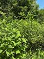  Bryant Hollow Road - Photo 10