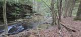 238 Coggins Knob Rd - Photo 7
