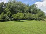 250 White Pine Lane - Photo 8