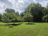 250 White Pine Lane - Photo 9