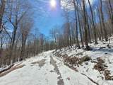  Lots 21 Eagles Nest - Photo 2