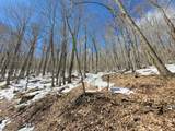  Lots 21 Eagles Nest - Photo 3