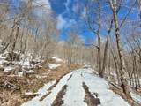  Lots 21 Eagles Nest - Photo 4