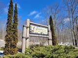  Lot 22 Eagles Nest - Photo 10