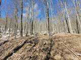  Lot 22 Eagles Nest - Photo 6