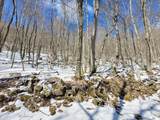 Lot 23 Eagles Nest - Photo 4