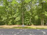 Lot 96 White Rock Trl - Photo 2