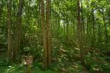Lot 156 Falls Parkway - Photo 5