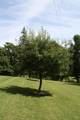 6833 Elk Knob Rd - Photo 45
