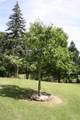 6833 Elk Knob Rd - Photo 46