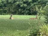 20669 Seneca Trl - Photo 4