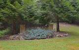 992 Asbury Trace - Photo 80