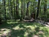 Lot 1a,1b Bear Trak Road - Photo 12