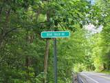 Lot 1a,1b Bear Trak Road - Photo 13
