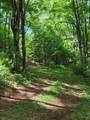 Lot 1a,1b Bear Trak Road - Photo 14