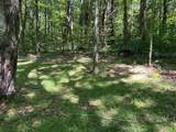 Lot 1a,1b Bear Trak Road - Photo 18