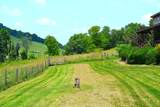 1000 Hedrick Rd - Photo 6