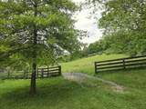 4135 Williamsburg Rd - Photo 49
