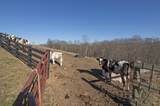 626 Miller Farm Rd - Photo 129