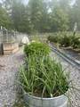 626 Miller Farm Rd - Photo 87