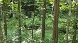 1871 Wayside Talcott Rd - Photo 83