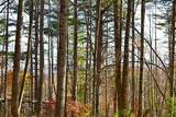 390 Joyful Way - Photo 10