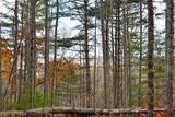 390 Joyful Way - Photo 36