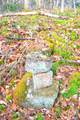 390 Joyful Way - Photo 38