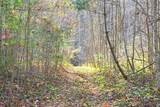 390 Joyful Way - Photo 9