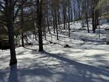 516 Wildcat Run Rd - Photo 28