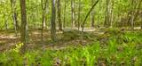 2465 Chestnut Flats Rd - Photo 12