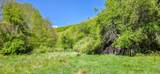 2465 Chestnut Flats Rd - Photo 21
