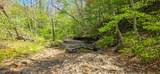 2465 Chestnut Flats Rd - Photo 23