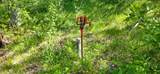 2465 Chestnut Flats Rd - Photo 29