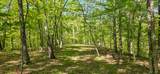 2465 Chestnut Flats Rd - Photo 9